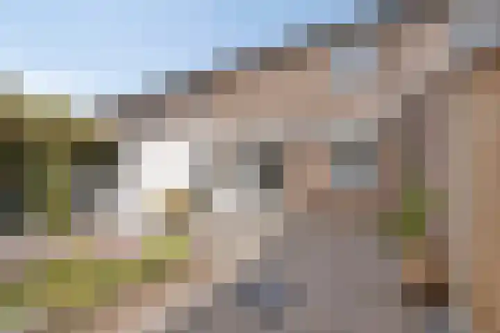 Tweede Morgendreef 14 's-Hertogenbosch thumbnail 17