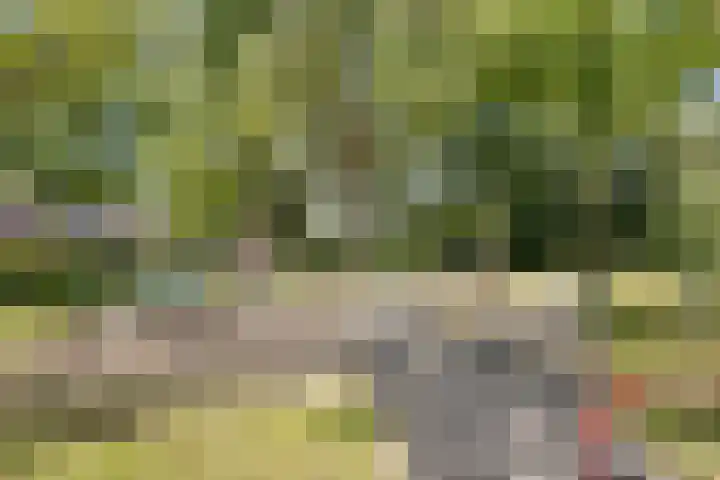 Tweede Morgendreef 14 's-Hertogenbosch thumbnail 34