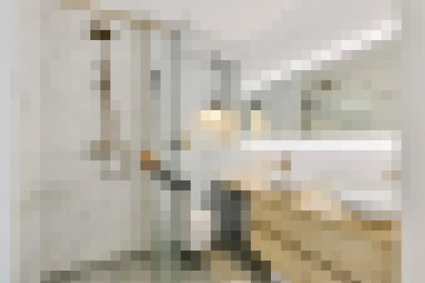 Tweede Muntmeesterslaan 45 Utrecht thumbnail 28