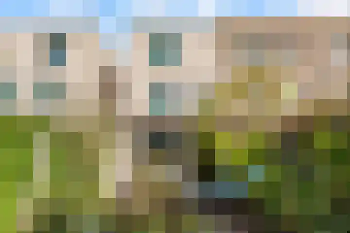 Tweede Muntmeesterslaan 46 Utrecht thumbnail 20