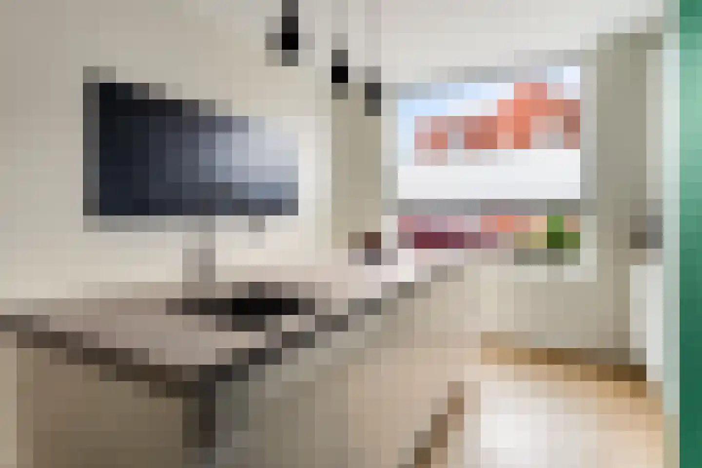 Tweede Muntmeesterslaan 58 Utrecht thumbnail 18