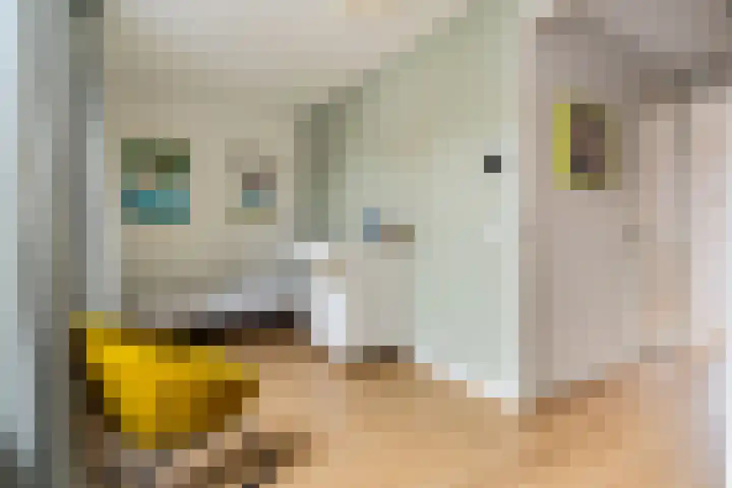Tweede Muntmeesterslaan 58 Utrecht thumbnail 34