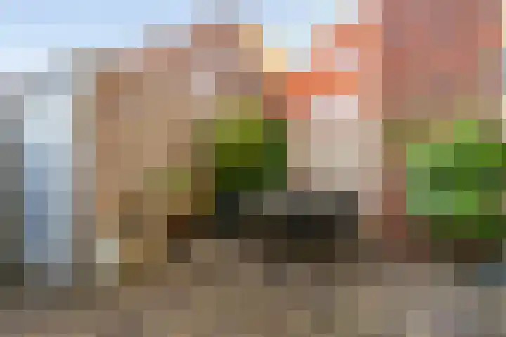 Tweede Muntmeesterslaan 65 Utrecht thumbnail 33
