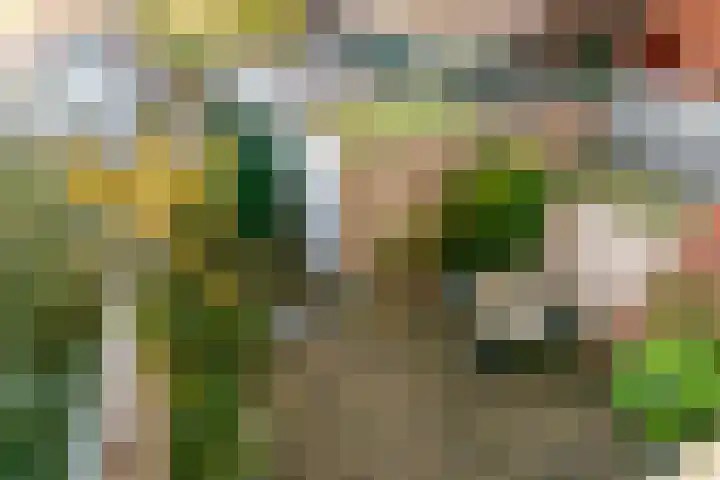 Tweede Muntmeesterslaan 65 Utrecht thumbnail 36