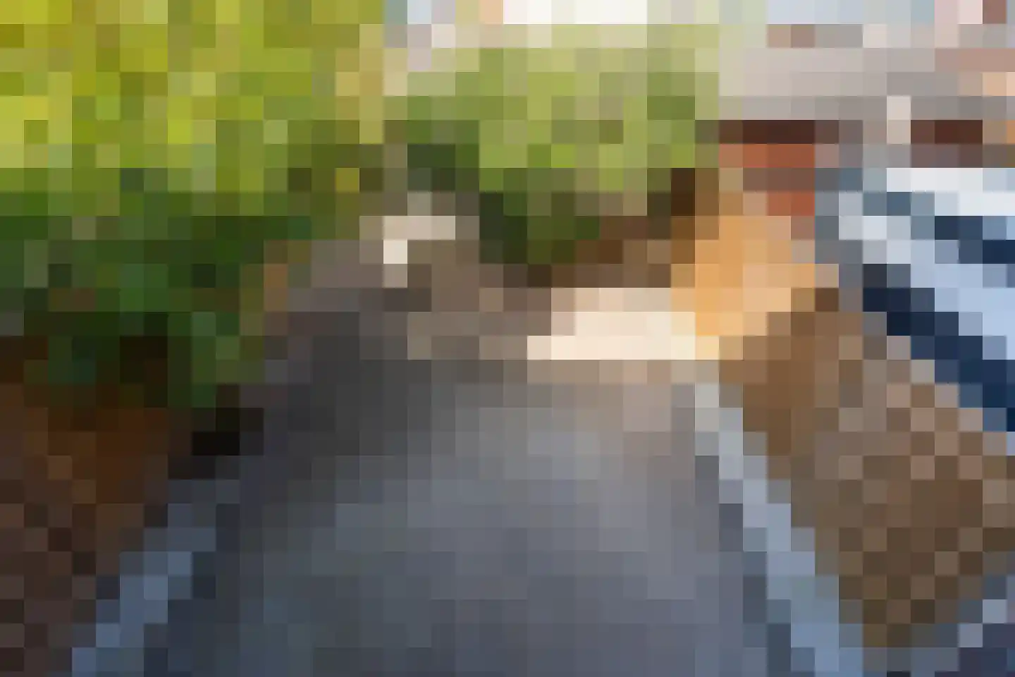 Tweede Oosterparklaan 208 Utrecht thumbnail 21