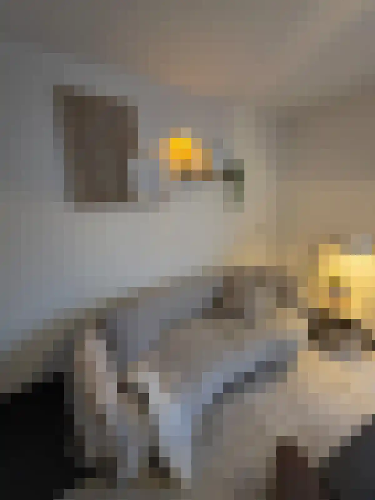 Tweede Oosterparklaan 242 Utrecht thumbnail 4