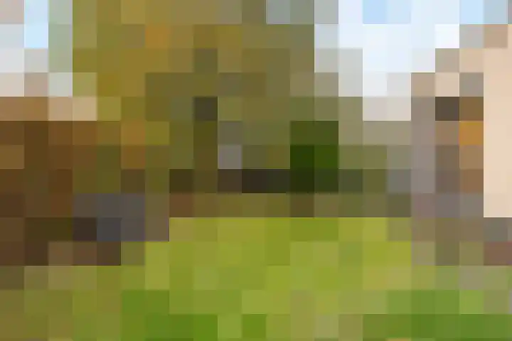 Tweede Oosterparklaan 272 Utrecht thumbnail 4