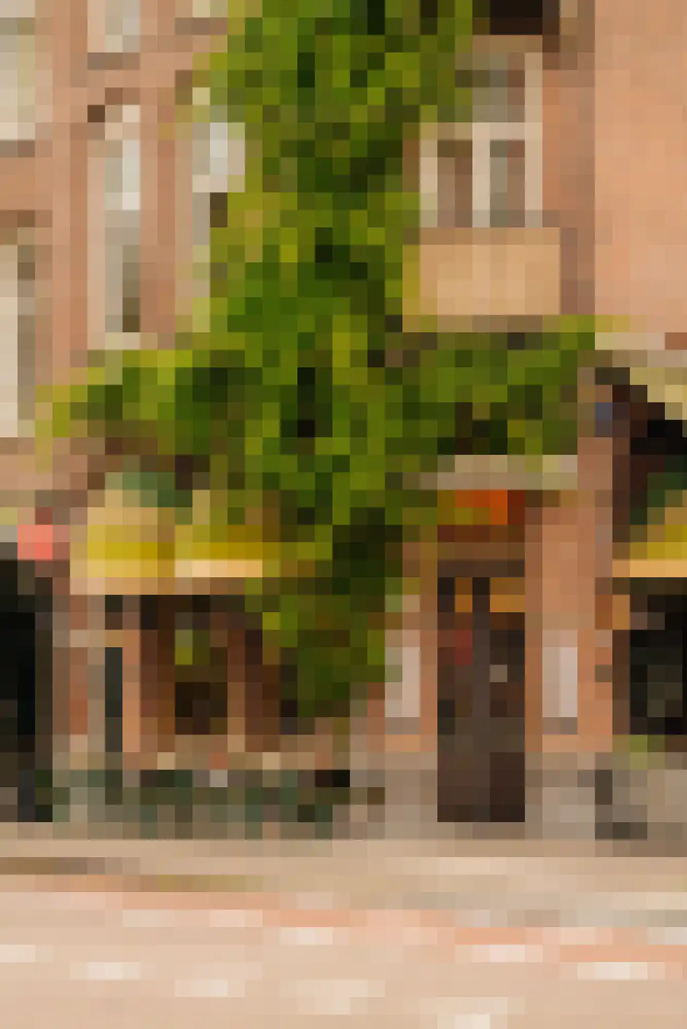 Tweede Oosterparkstraat 221 H Amsterdam thumbnail 40