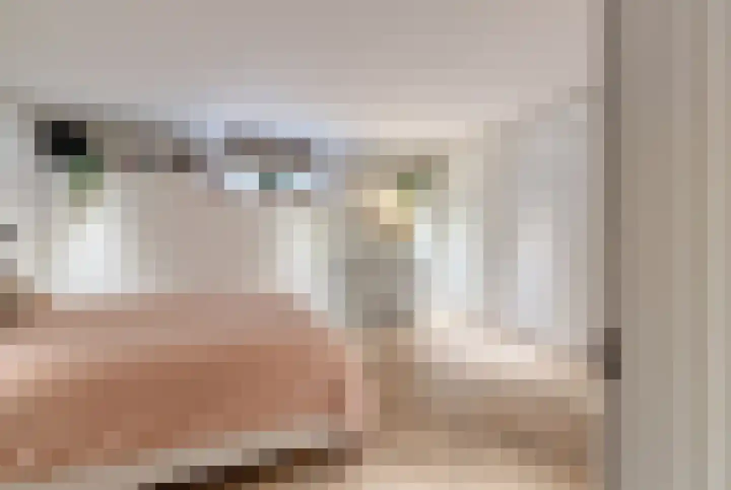 Tweede Oosterparkstraat 223 Amsterdam thumbnail 27