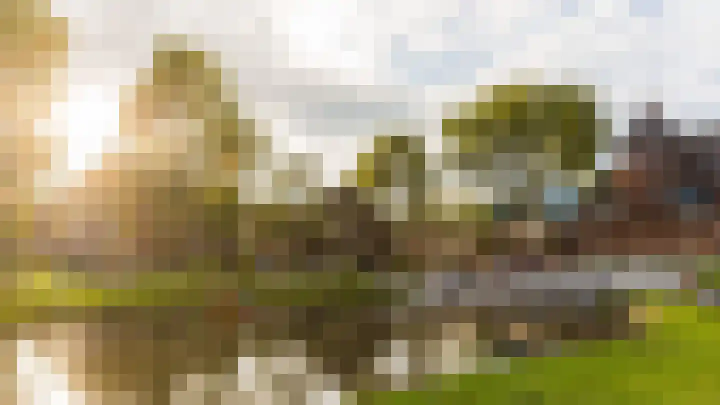 Tweede Oosterparkstraat 223 Amsterdam thumbnail 47