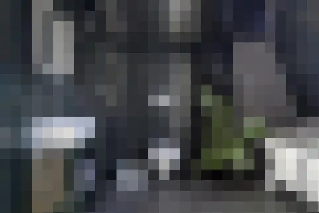 Tweede Oosterparkstraat 231 1 Amsterdam thumbnail 25
