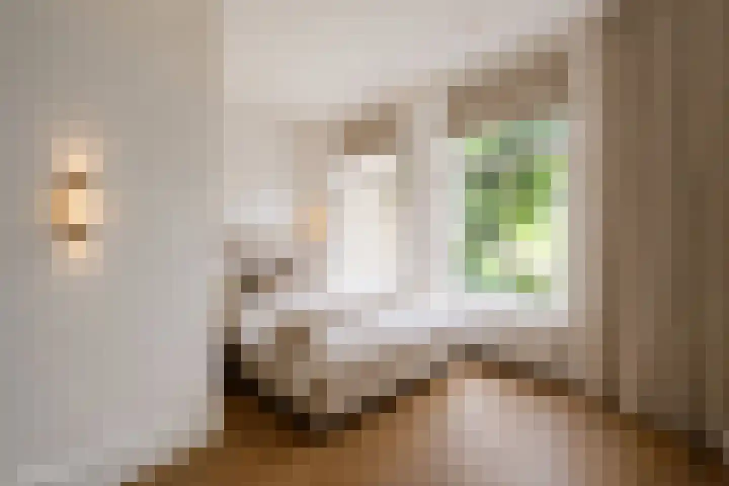 Tweede Oosterparkstraat 231 1 Amsterdam thumbnail 34