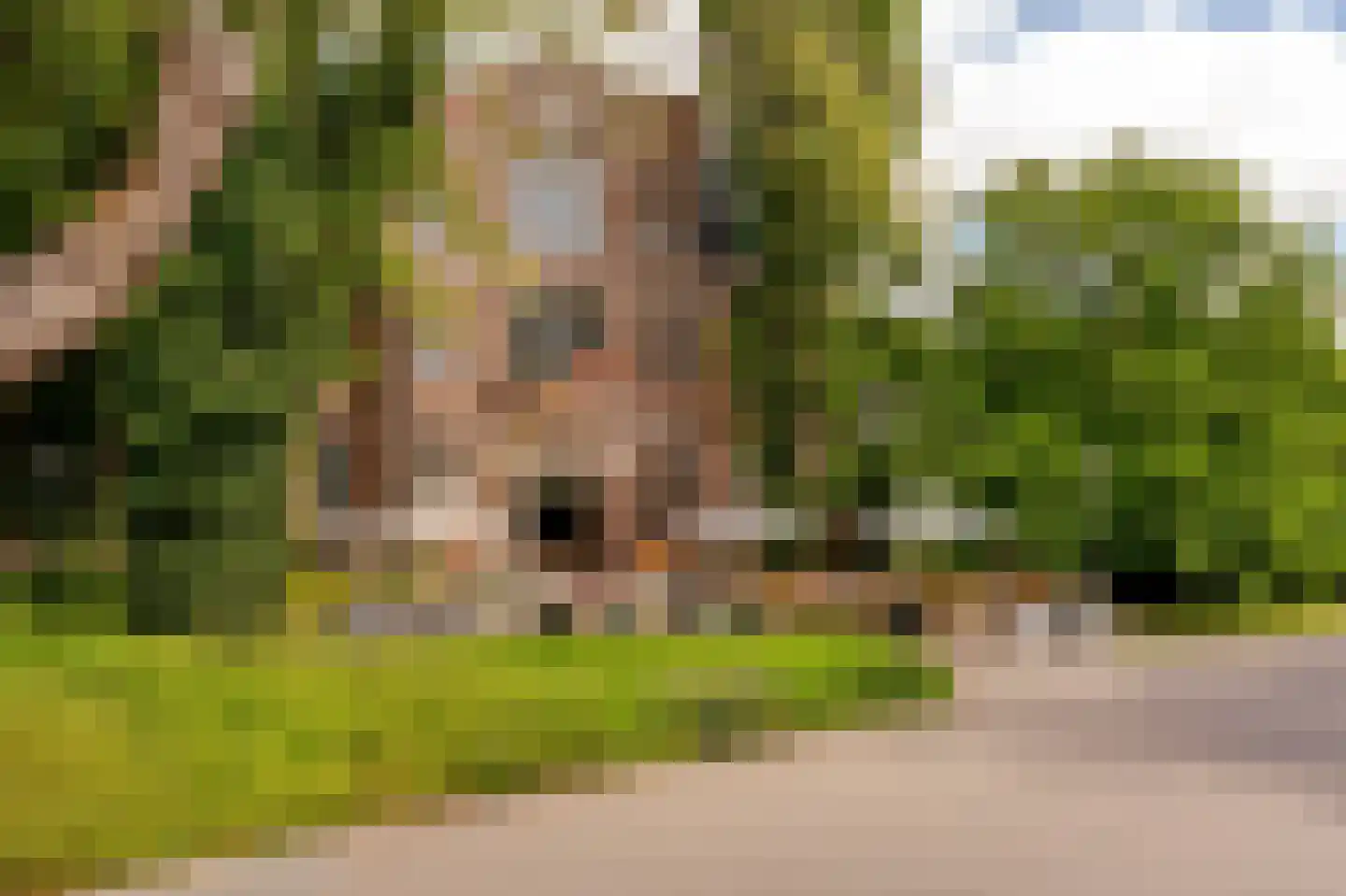 Tweede Oosterparkstraat 37 E Amsterdam thumbnail 23