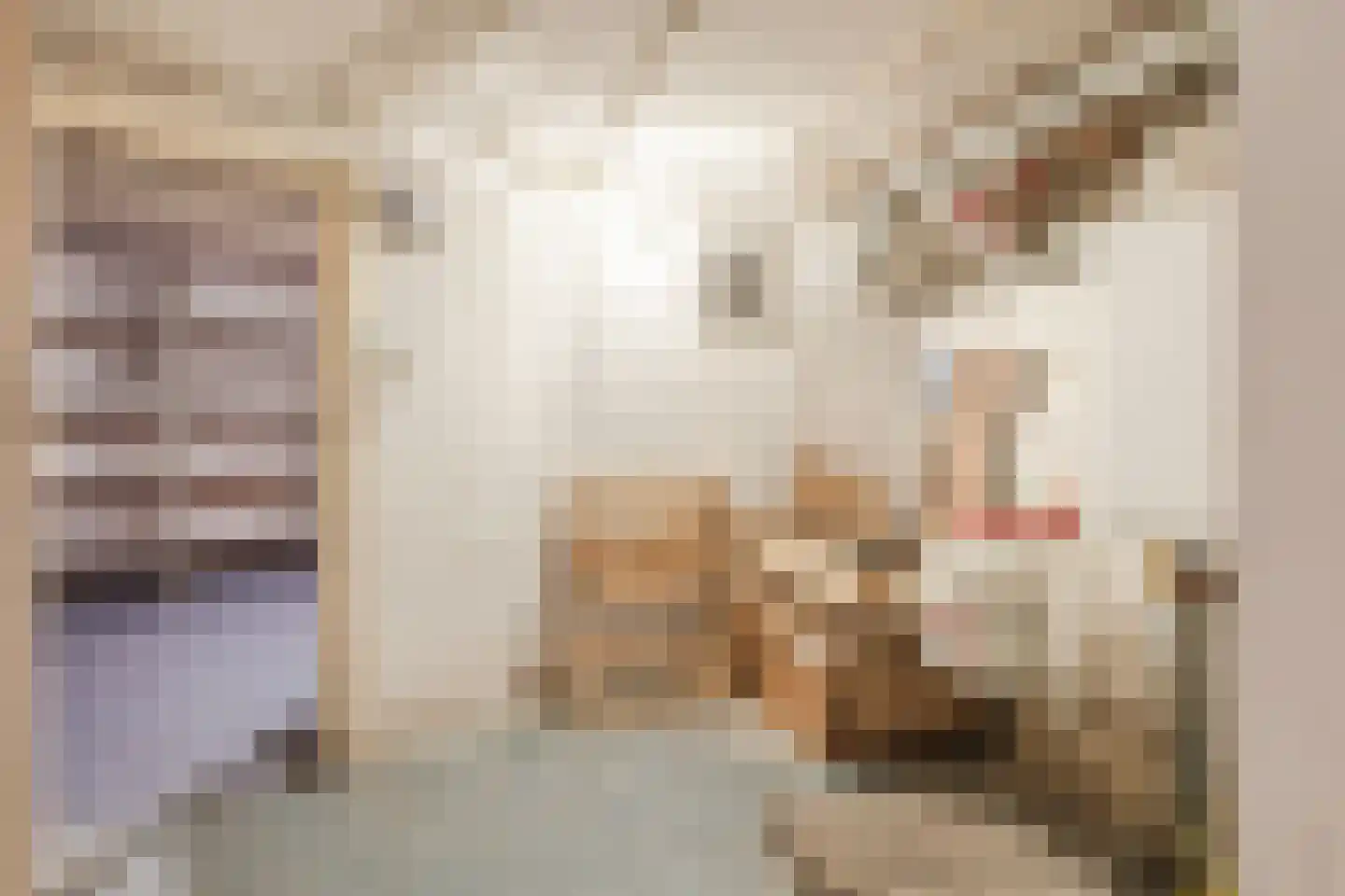 Tweede Oude Heselaan 209 Nijmegen thumbnail 35