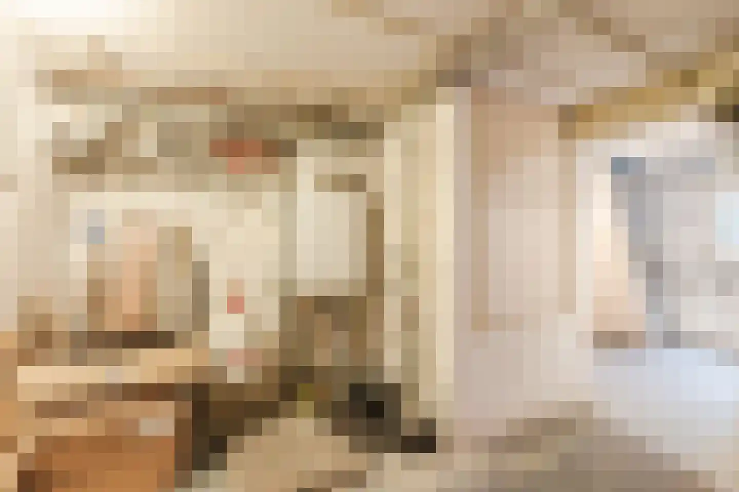 Tweede Oude Heselaan 209 Nijmegen thumbnail 36