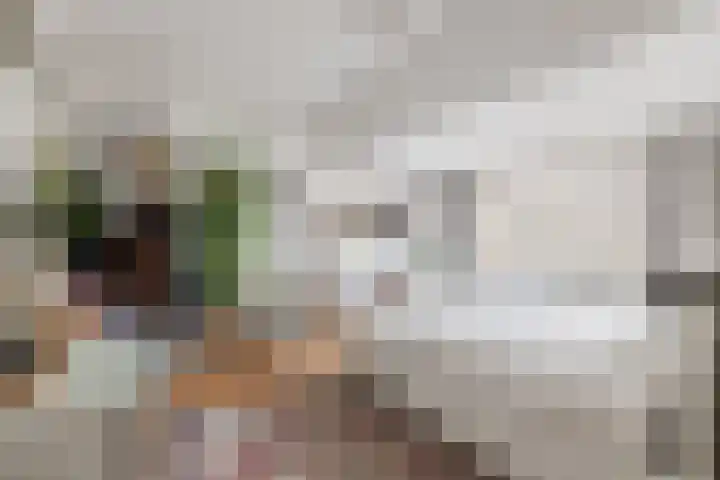 Tweede Oude Heselaan 215 Nijmegen thumbnail 15