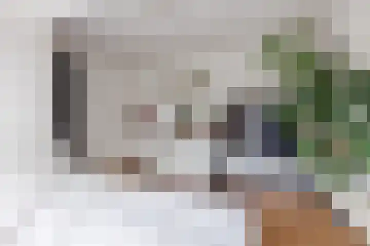 Tweede Oude Heselaan 215 Nijmegen thumbnail 17