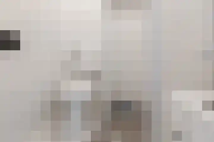 Tweede Oude Heselaan 215 Nijmegen thumbnail 22