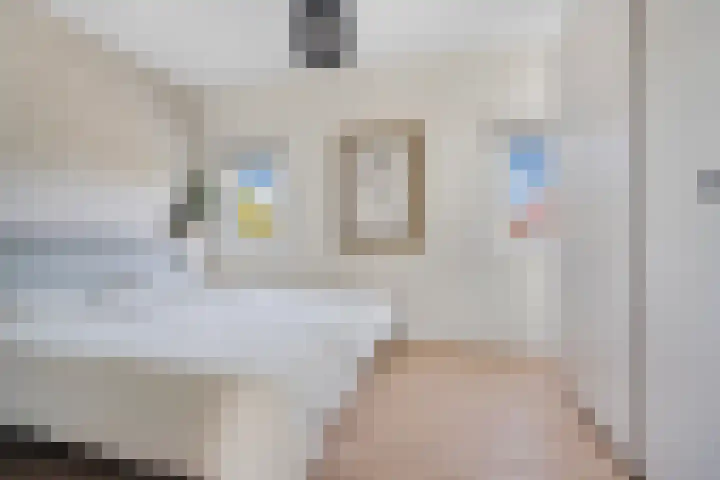 Tweede Oude Heselaan 368 Nijmegen thumbnail 24