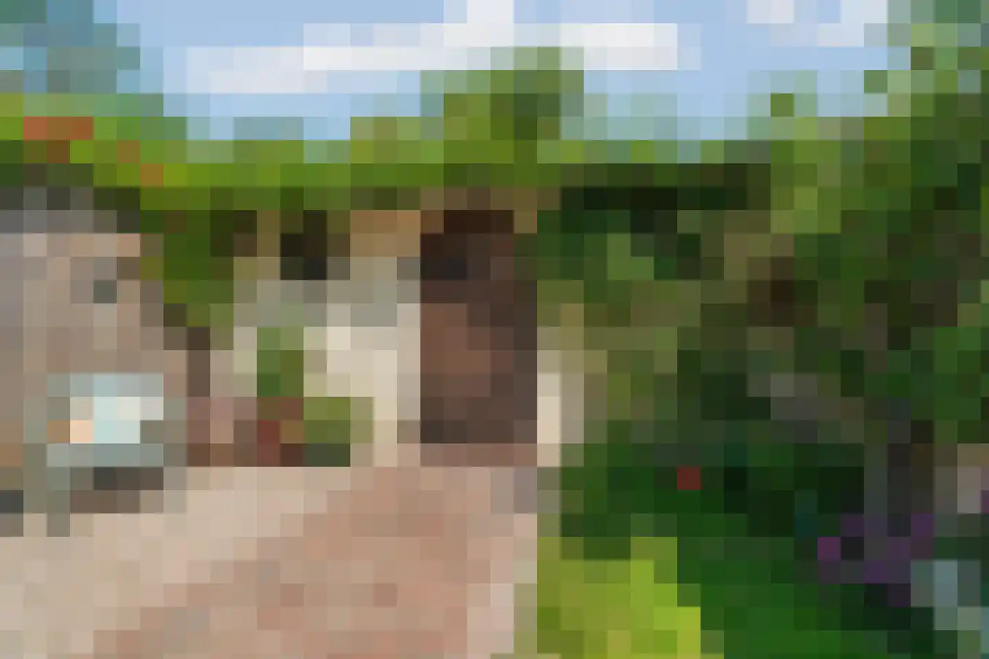 Tweede Oude Heselaan 368 Nijmegen thumbnail 43