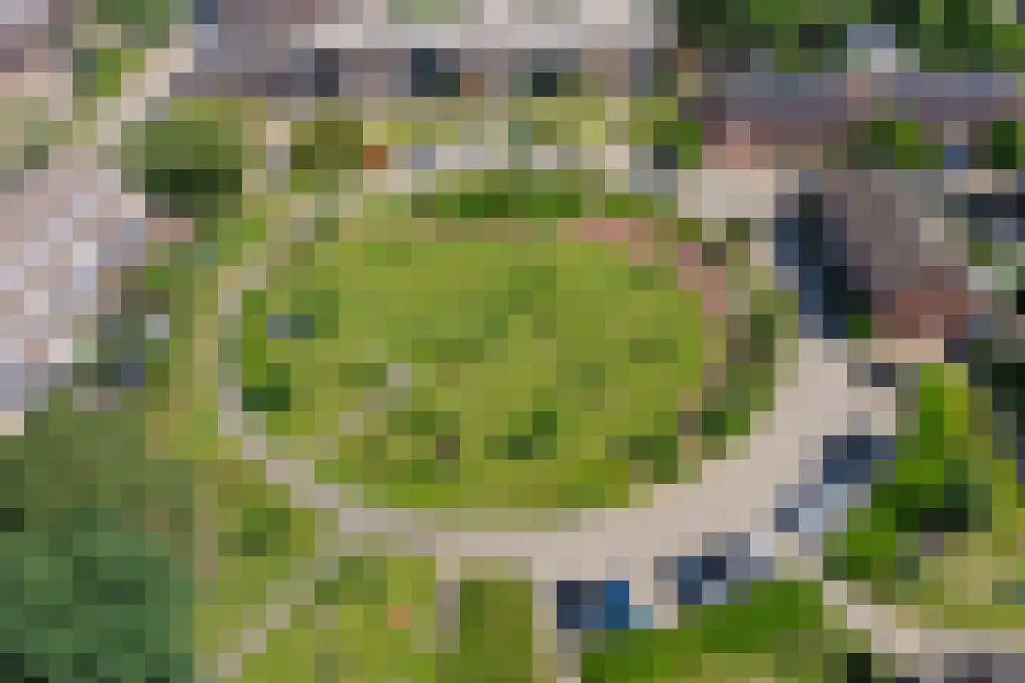 Tweede Oude Heselaan 368 Nijmegen thumbnail 47