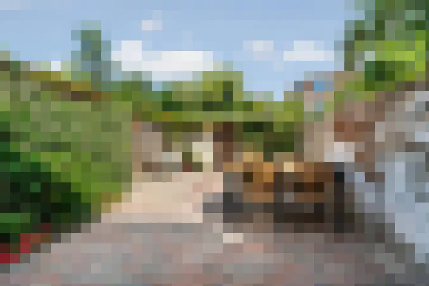Tweede Oude Heselaan 368 Nijmegen thumbnail 6