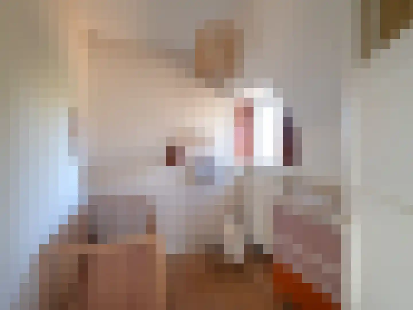 Tweede Oude Heselaan 450 Nijmegen thumbnail 18