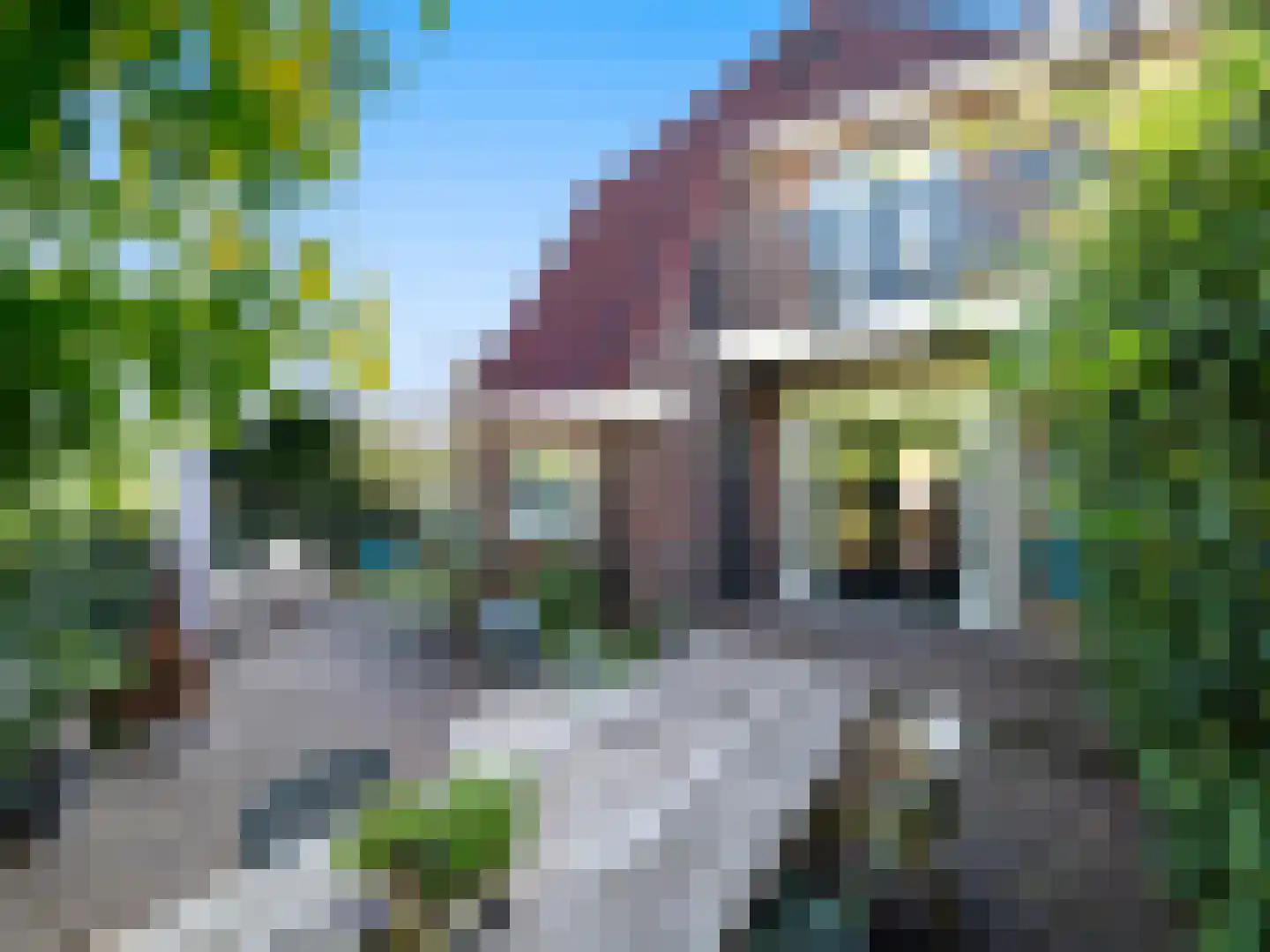 Tweede Oude Heselaan 450 Nijmegen thumbnail 23