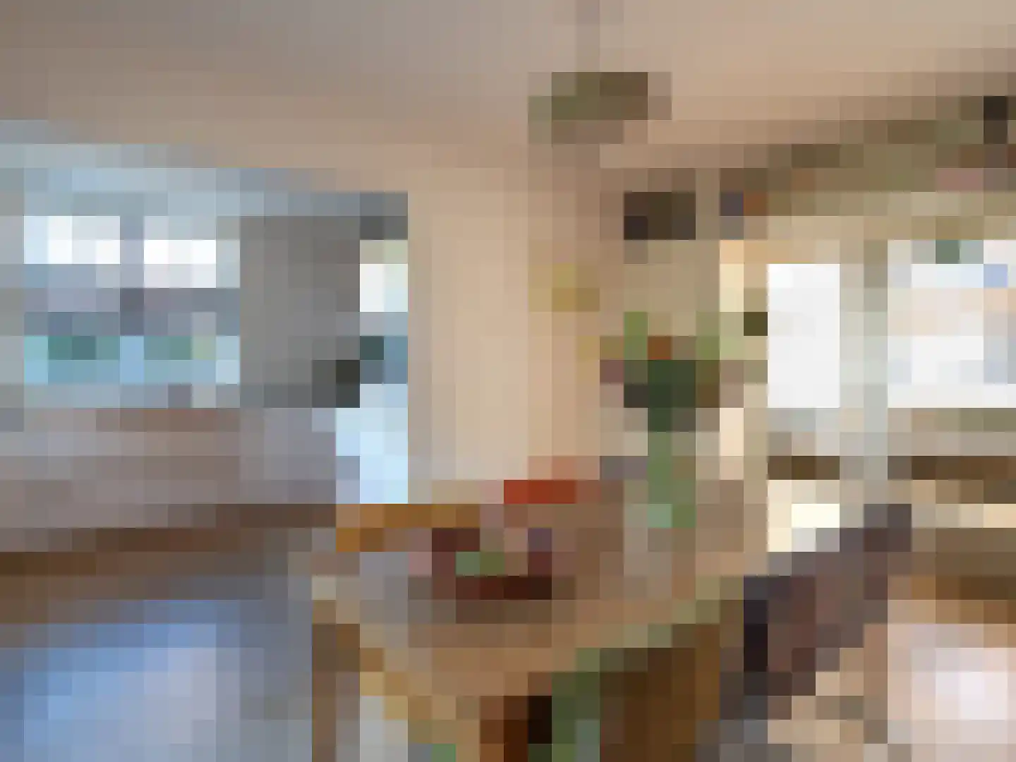 Tweede Oude Heselaan 450 Nijmegen thumbnail 6