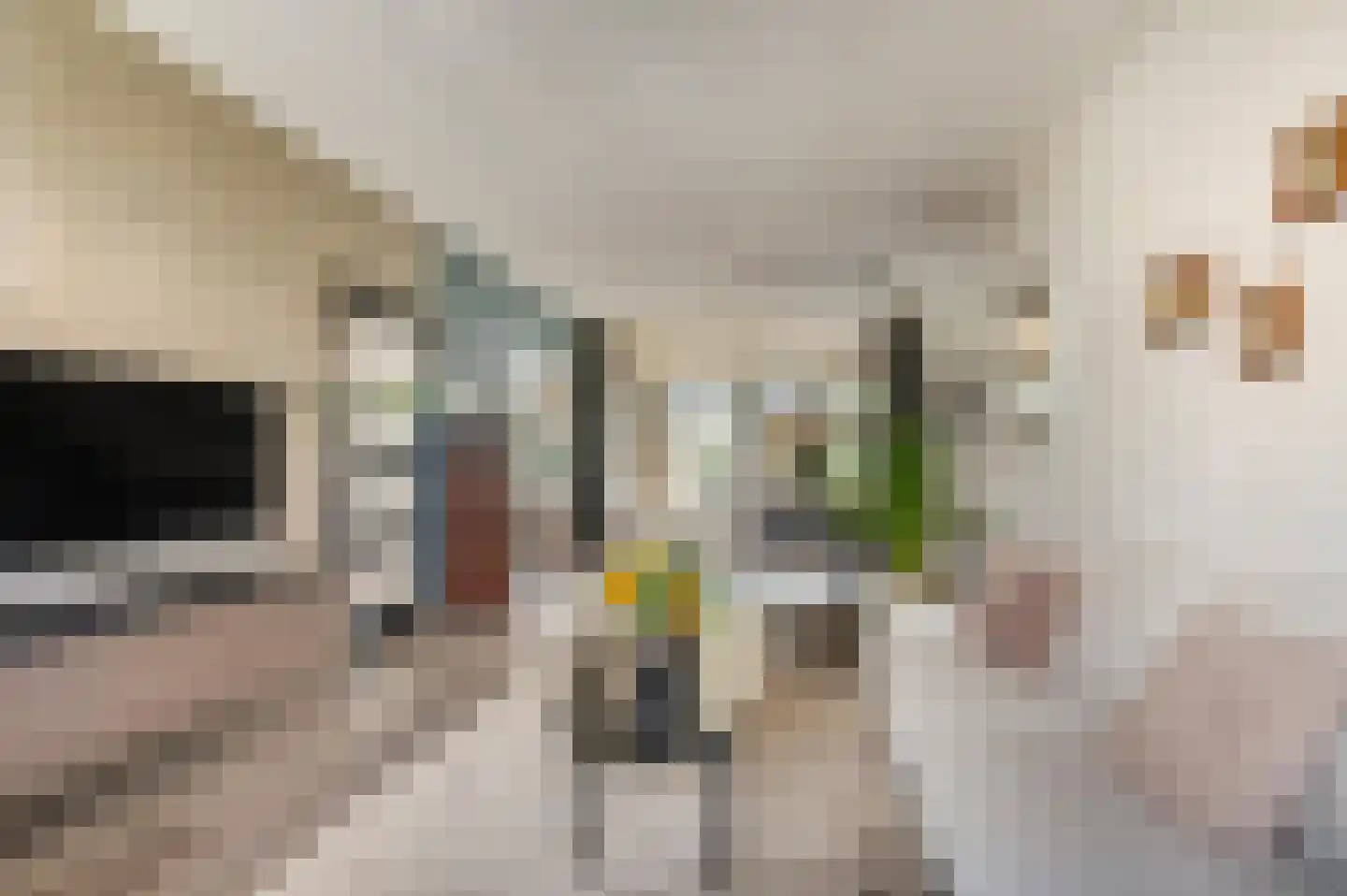 Tweede Parallelweg 2 Tiel thumbnail 10