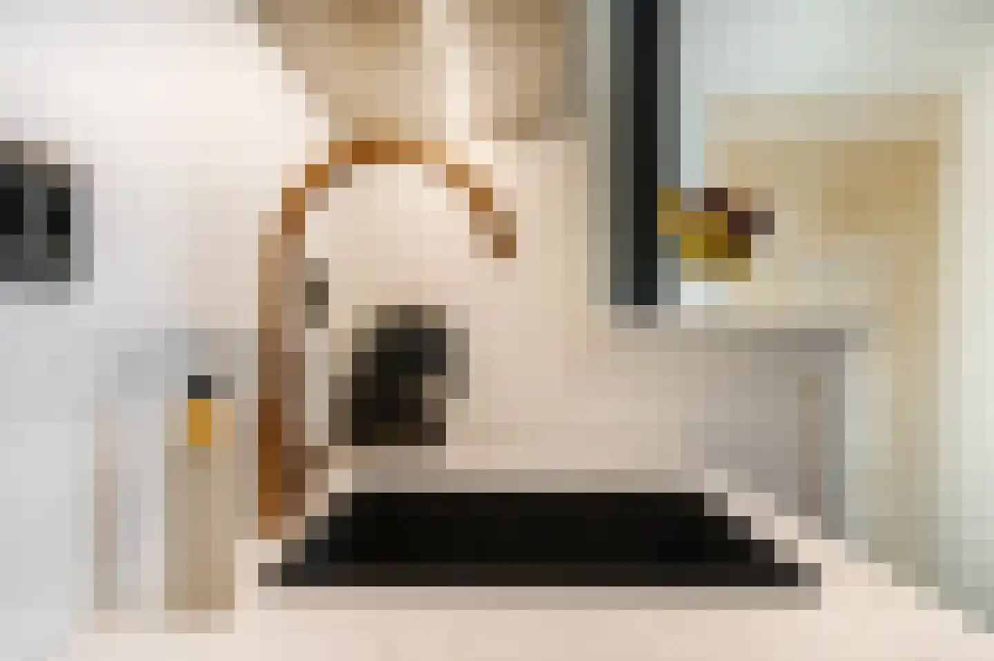 Tweede Parallelweg 2 Tiel thumbnail 15