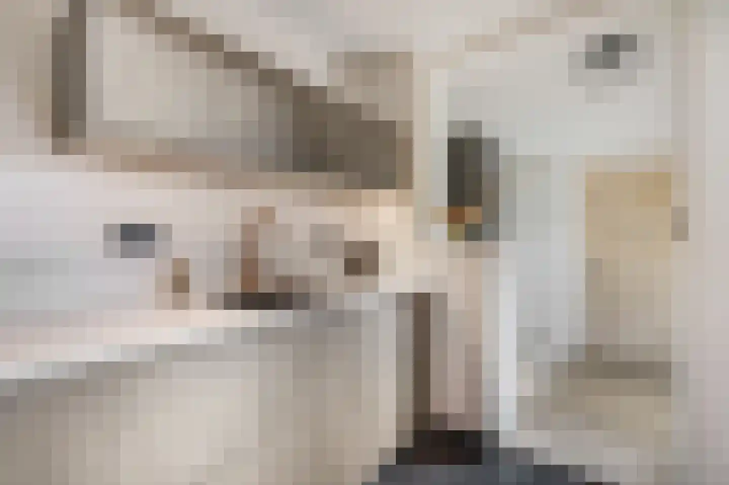 Tweede Parallelweg 2 Tiel thumbnail 16