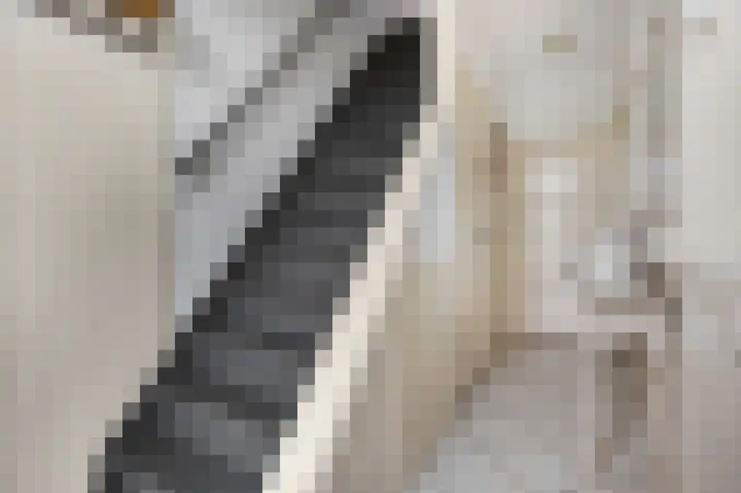 Tweede Parallelweg 2 Tiel thumbnail 20