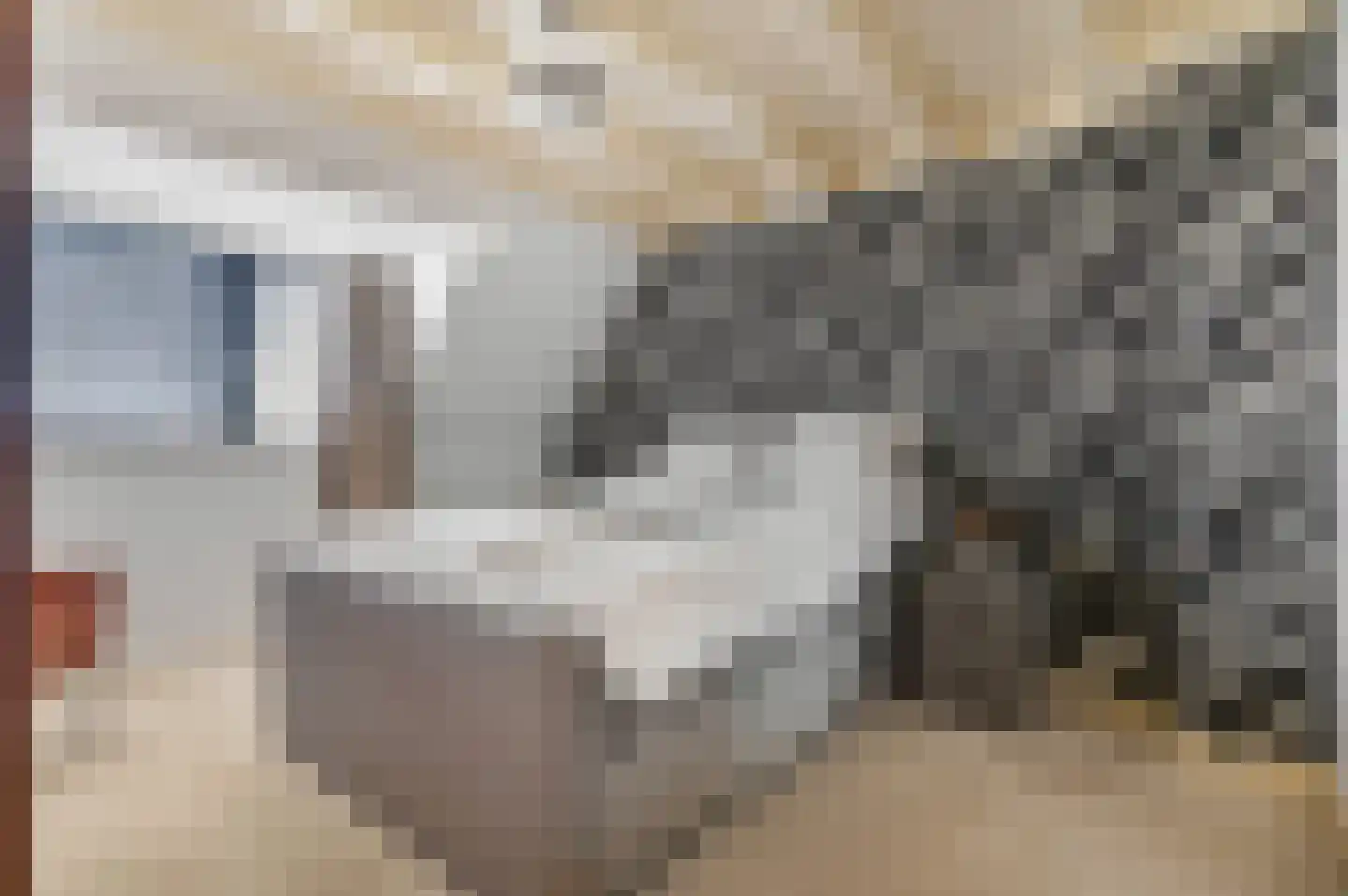 Tweede Parallelweg 2 Tiel thumbnail 21