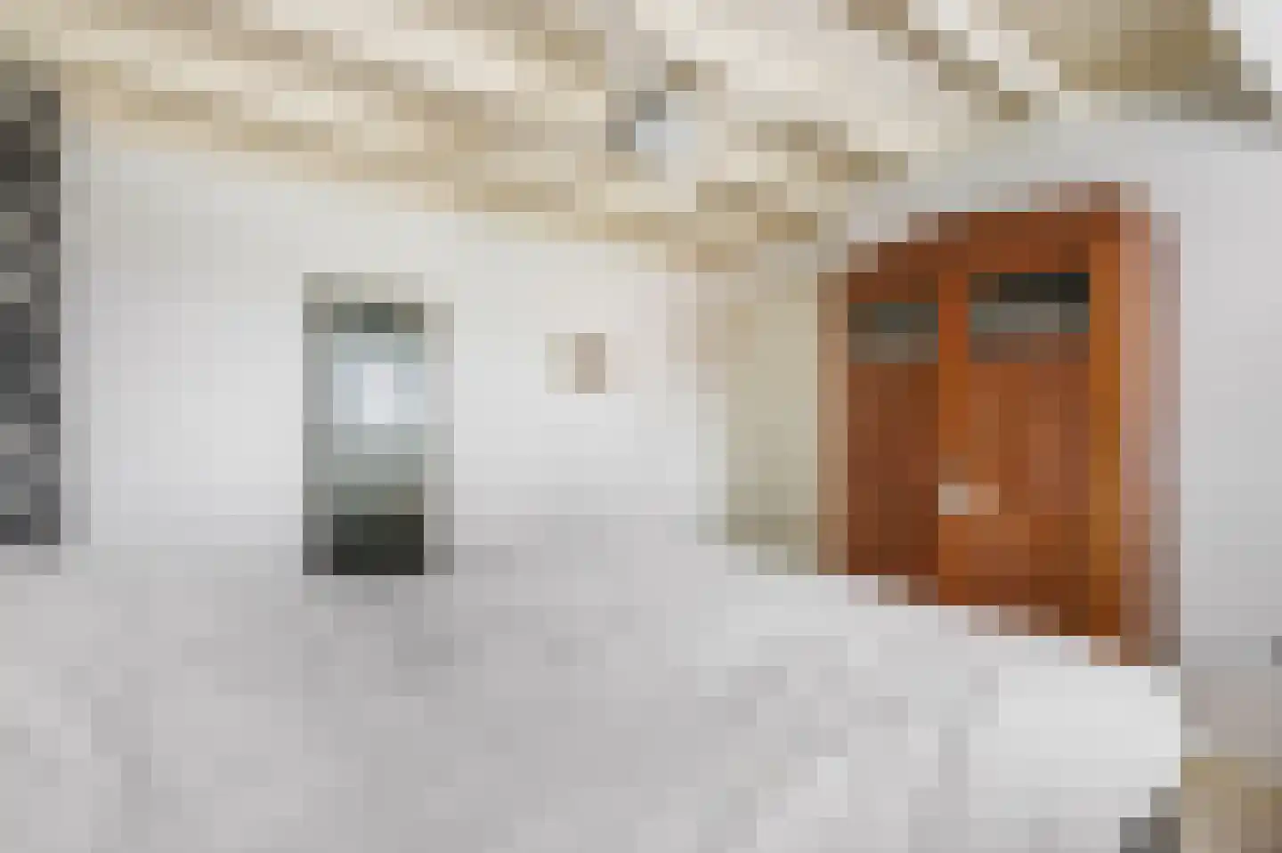 Tweede Parallelweg 2 Tiel thumbnail 22