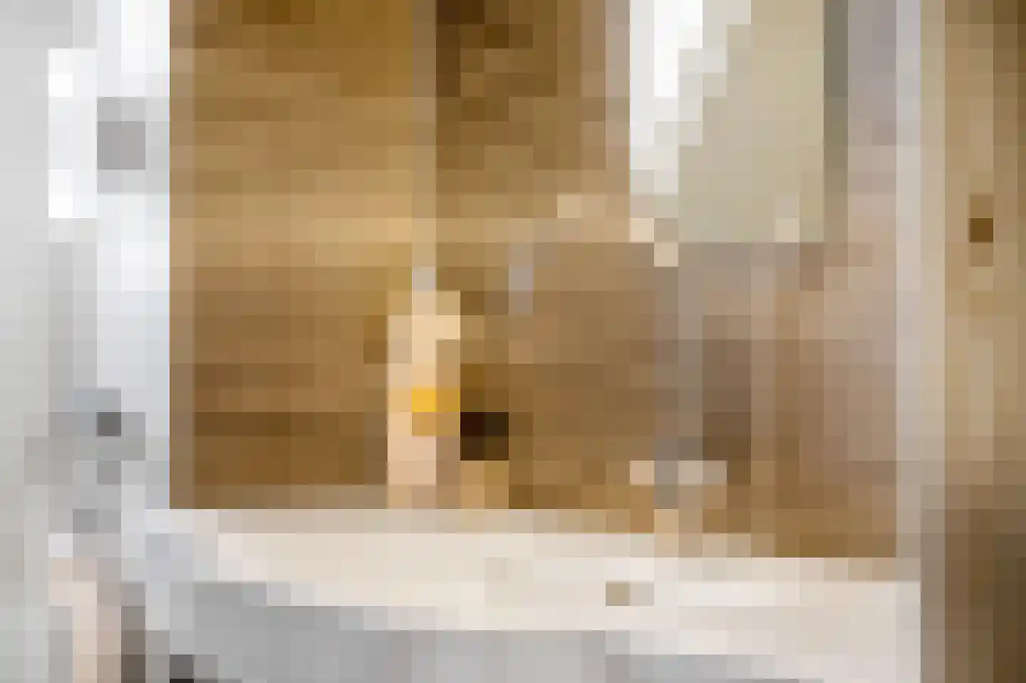 Tweede Parallelweg 2 Tiel thumbnail 26