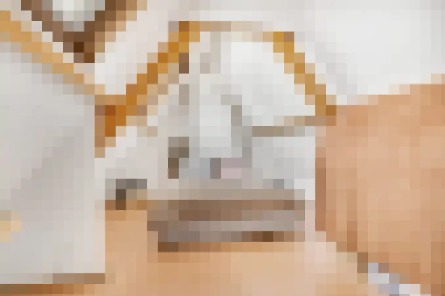 Tweede Parallelweg 2 Tiel thumbnail 30