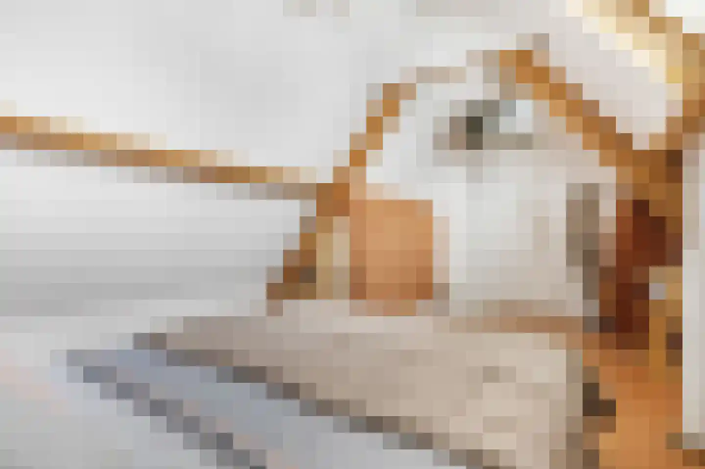 Tweede Parallelweg 2 Tiel thumbnail 31