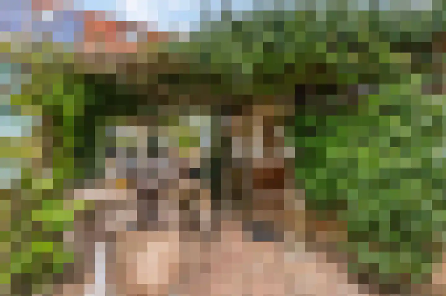 Tweede Parallelweg 2 Tiel thumbnail 34