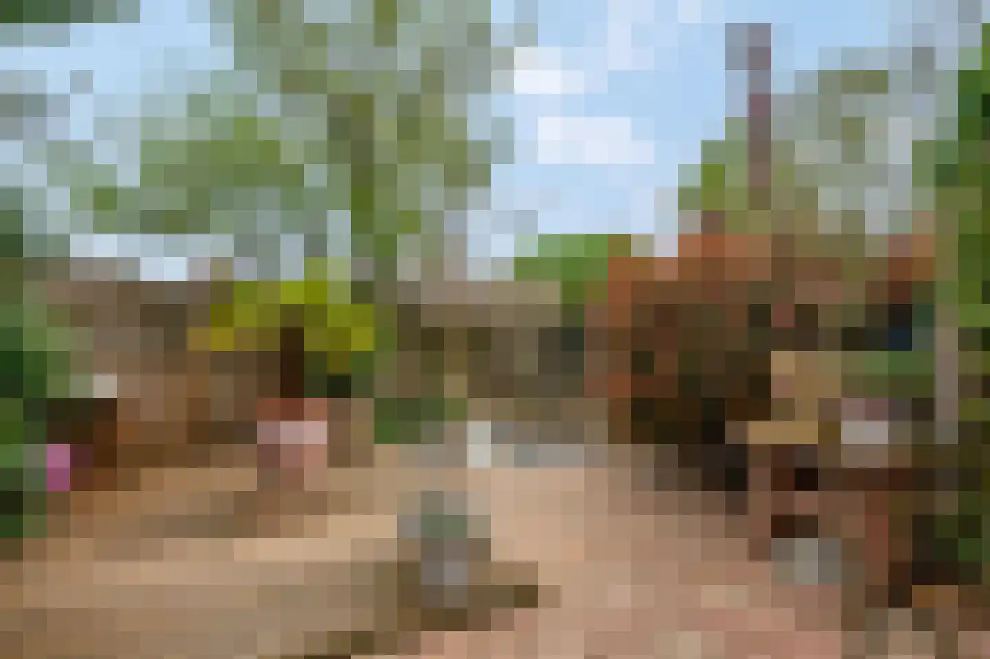 Tweede Parallelweg 2 Tiel thumbnail 35