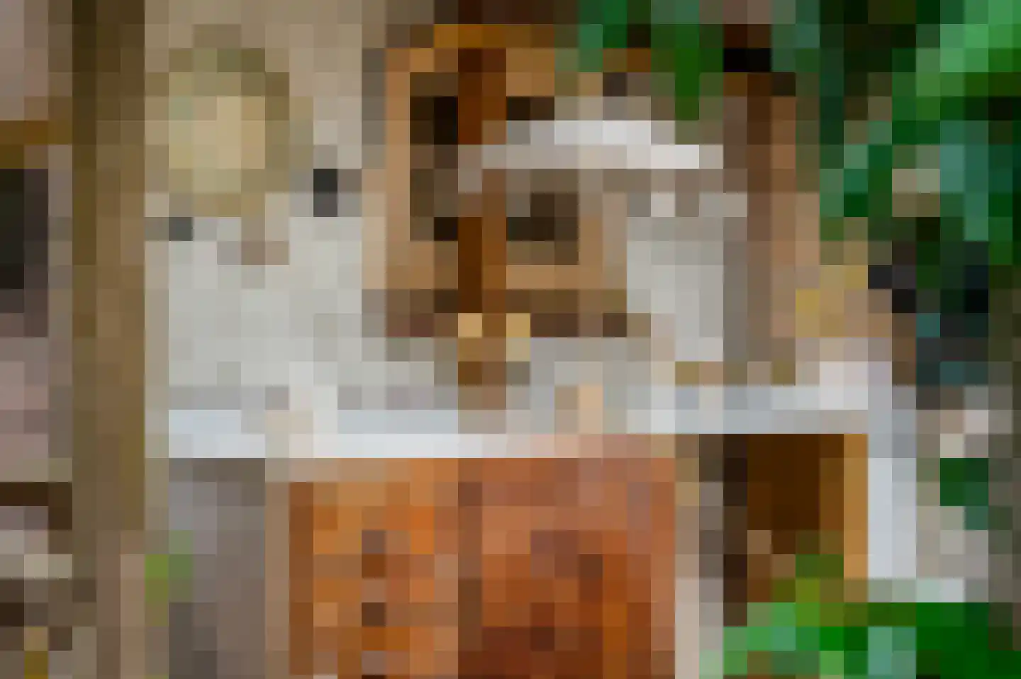 Tweede Parallelweg 2 Tiel thumbnail 40