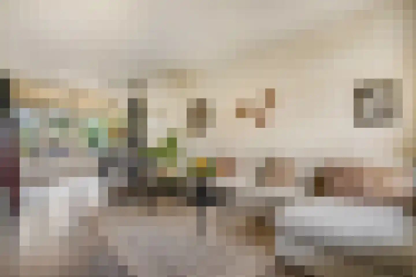 Tweede Parallelweg 2 Tiel thumbnail 9