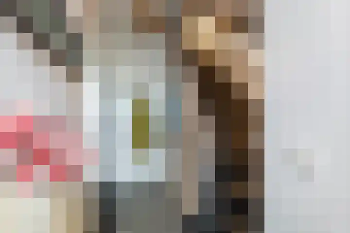 Tweede Parallelweg 8 d Tiel thumbnail 16