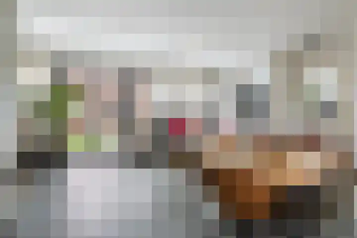 Tweede Parallelweg 8 d Tiel thumbnail 5