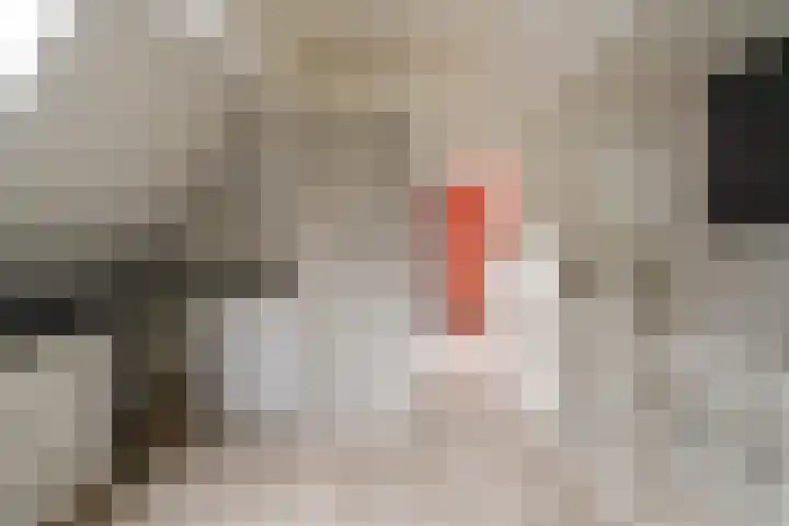 Tweede Reedwarsstraat 54 Dordrecht thumbnail 32