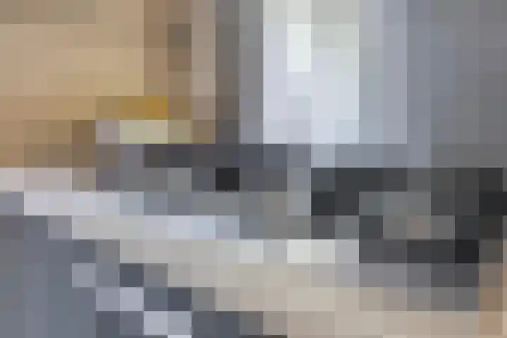 Tweede Reitse Dreef 138 's-Hertogenbosch thumbnail 13
