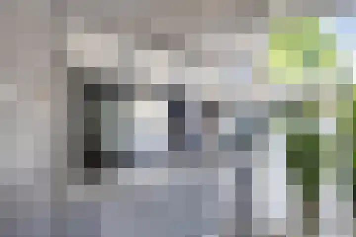 Tweede Reitse Dreef 138 's-Hertogenbosch thumbnail 14