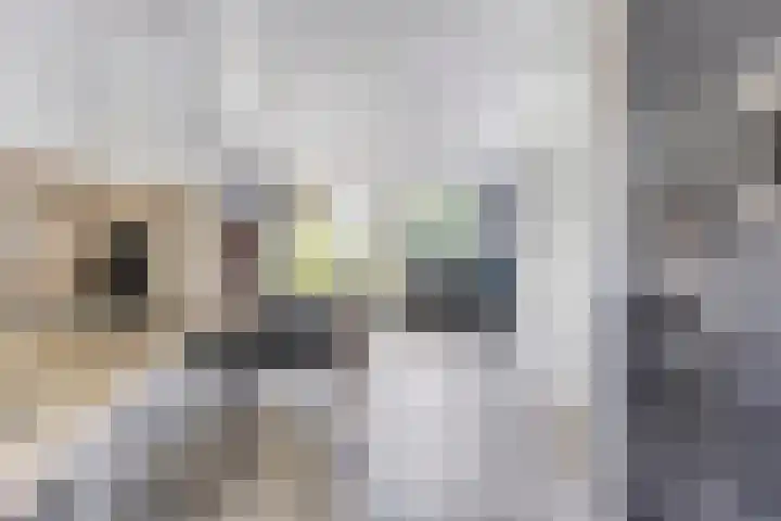 Tweede Reitse Dreef 138 's-Hertogenbosch thumbnail 15