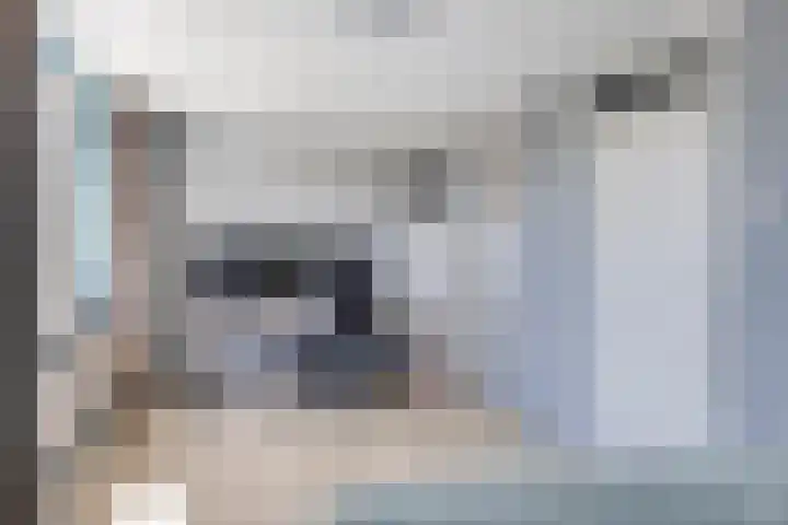 Tweede Reitse Dreef 138 's-Hertogenbosch thumbnail 20