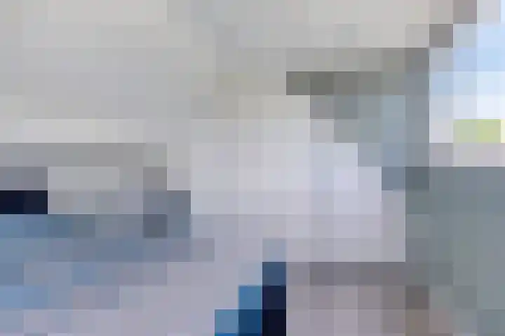 Tweede Reitse Dreef 138 's-Hertogenbosch thumbnail 26